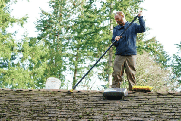shoreline washington roof moss removal companies